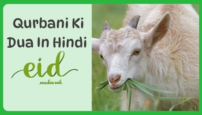 qurbani ki dua